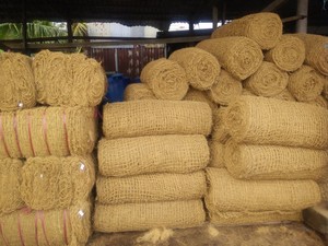 Eco2go Vietnam Filet en fibre de coco durable |   Tissu en fibre de coco naturelle 400-900 GSM pour le contrôle de l'érosion des sols, l'aménagement paysager et l'agriculture - Product Image 4