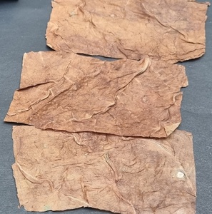 Tay cán nâu lá lỏng nón kết thúc tốt đẹp cán giấy tùy chỉnh đóng gói USA lá lỏng lẻo CuộN gỗ & thủy tinh lời khuyên số lượng lớn Nhà máy cung cấp - Product Image 2