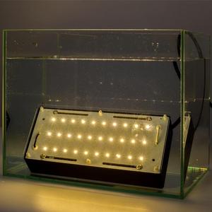 Lámpara de Pared LED de 40W Resistente al Agua IP68, 4000LM, 3000K, Blanco Cálido, Giratoria, para Exteriores, Jardín, Patio, Césped - Product Image 4