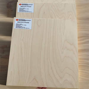 Contrachapado de Abedul Grado DD Más Vendido por el Fabricante, 9, 12, 15, 18, 21 mm, Antideslizante, Material de Vietnam, Tablero, Lámina, Panel para Construcción - Product Image 2