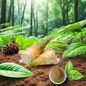 Polvo de extracto de brotes de bambú orgánico Extracto de planta Premium para la salud y el bienestar - Product Image 2