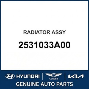 Radiadores Nuevos Sonata 2531033A00 - Product Image 1