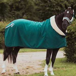 Nueva Manta para Caballo 2026 del Mejor Fabricante, Impermeable, para Todas las Estaciones, Relleno de Poliéster, 2 Correas para las Patas, Hecha a Máquina, OEM ODM - Product Image 4