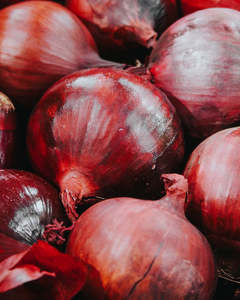 Cebollas Rojas Orgánicas Frescas de Primera Calidad a Granel de la Provincia de Gansu a Precios de Descuento - Product Image 2