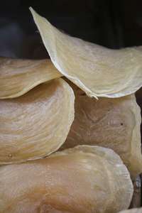 Bandes de tripes de poisson séchées de qualité supérieure, fournisseur Vietnamien, meilleur prix, haute teneur en protéines, produits de la mer, bar, Ms.May - Product Image 5