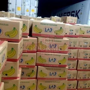 Plátano Cavendish Maduro, Fruta Tropical Fresca Directo de la Granja, Ideal para Importadores, Calidad Consistente, Gran Volumen, Envío Rápido - Product Image 6