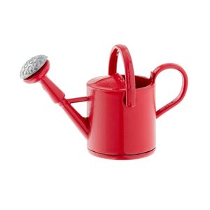 Arrosoir de jardin en métal robuste avec poignée confortable, parfait pour arroser les plantes, les fleurs et les herbes - Product Image 6