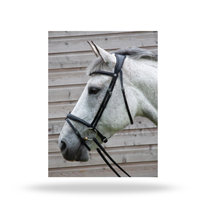 Brida de equitación inglesa de tamaño completo para control de caballos - Product Image 5