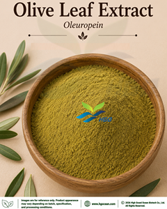 Approvisionnement direct d'usine HGO en extrait de feuille d'olivier naturel pur (qualité alimentaire) oleuropéine 30% - 48% (extrait standardisé) - Product Image 1