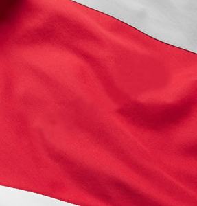 Custom Logo Nylon Windbreaker <b>Jacket</b> Breathable Mesh Lining Zip Up Waterproof Running Outdoor Nylon Windbreaker <b>Track</b> <b>Jacket</b> - Product Image 6