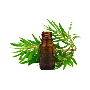 OEM Pure Natural Tea Tree <b>Essential</b> <b>Oil</b> <b>for</b> Skin, Hair, Aromatherapy Bulk Wholesale Antibacterial Deep Cleansing Organic Extract - Product Image 1