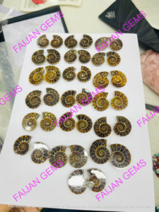 Tranches de Fossile d'Ammonite Naturelle de Haute Qualité - Certifiées par un tiers - Taille personnalisable - Fournitures pour la fabrication de bijoux - FIJAN GEMS - Product Image 3