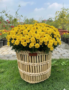 Natural Rattan <b>Storage</b> <b>Baskets</b> With Handles <b>Rectangle</b> Rustic Multi Purpose Decorative <b>Basket</b> For Living Room Bathroom Picnic - Product Image 4
