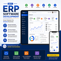 Software ERP Personalizzato di Alta Qualità, Sviluppo Software per Automazione Aziendale, Analisi in Tempo Reale, Server di Rete per il Settore B2B