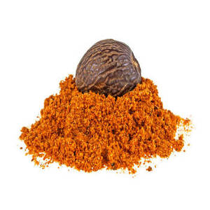 Poudre de Muscade 100% Pure Aromatique Indienne Nouvelle Récolte Fittree International Ingrédient de Cuisson pour Mélange de Desserts Fournisseurs d'Épices - Product Image 1