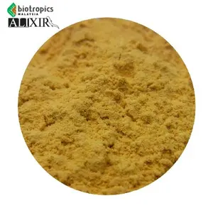 Tongkat Ali (Eurycoma Longifolia Jack) ingrediente Alixir estratto di polvere solubile in acqua dalla foresta malese
