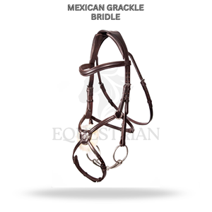 Brida de equitación inglesa de tamaño completo para control de caballos, modelo mexicano Grackle. - Product Image 2