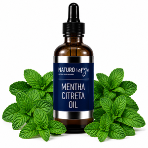 Pure Mentha Citrata <b>Essential</b> <b>Oil</b> Fresh Citrus Mint Aroma Aromatherapy Skincare Wellness Premium Natural Botanical Extract <b>Oil</b> - Product Image 1