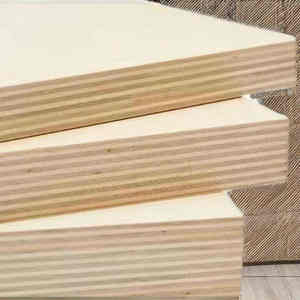 Contrachapado Fenólico Grado DD del Fabricante, Material de Construcción con Chapa de Abedul, Venta Caliente, Directo de Fábrica en Vietnam - Product Image 5