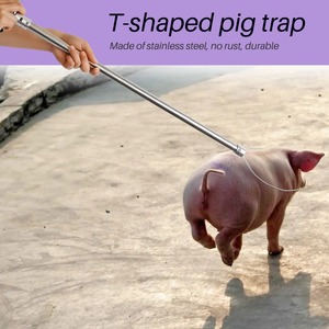เสาจับหมูพลาสติกสแตนเลส ด้ามจับรูปตัว T อุปกรณ์จับสัตว์ป่า สายเหล็กปรับได้ เครื่องมือสำหรับฟาร์ม - Product Image 5