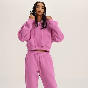 Sweat-shirt à capuche rétro pour femme, doublé polaire, épaissi, style « Hot Girl », coupe courte, personnalisable avec logo, collection Hiver 2026 – Vente en gros - Product Image 1