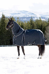 Manta Ecuestre Super Resistente, Impermeable y Transpirable, con Forro Polar Cálido y Solapa Larga para la Cola del Caballo - Product Image 6