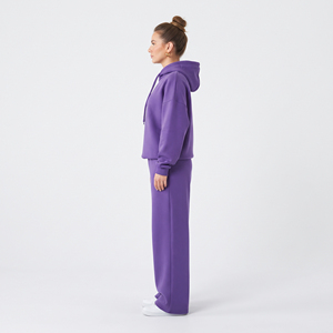 Women’s Polyester Winter Hooded Tracksuit Manufacturer Wholesale Custom Sportswear Set Warm Sweat <b>Hoodie</b> and Jogger Pants - Product Image 3