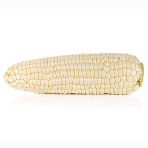 Proveedor de Granos de Maíz Blanco de la Mejor Calidad de Exportación para Compradores Mayoristas Globales - Product Image 1