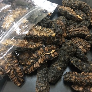 Tranches de Noni séchées de qualité supérieure pour la production de tisanes et le traitement industriel des boissons à l'échelle mondiale - Product Image 3