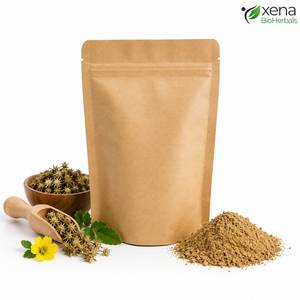 ผู้จัดจำหน่ายสมุนไพรพรีเมียม ผง Tribulus Terrestris วัตถุดิบมาตรฐานสำหรับสูตรเพื่อสุขภาพ ขายส่ง - Product Image 3