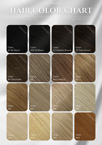 Hot Selling 100% Virgin Vietnamese <b>Hair</b> <b>Extensions</b> in Bulk Brown <b>Color</b> From NASA Company Lace Front Supplier - Product Image 5