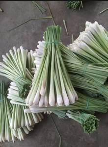 Fresh Leek Whole Fruit <b>Green</b> <b>Color</b> 20-30cm Length 2-5kg Weight Ambient Storage Shelf Life 30+ Days Aromatic Lemon Grass <b>Food</b> - Product Image 2