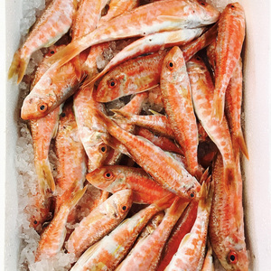 Sélection de premier choix de mulet rouge du Mer Noir surgelé, proposé à prix réduit pour les acheteurs commerciaux de grande envergure - Product Image 5