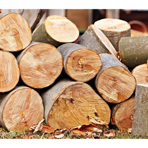 Venta al por mayor de madera de pino, haya, fresno y roble para suministro. - Product Image 1