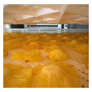 Piña Deshidratada Naturalmente Deliciosa Hecha con Fruta Tropical Fresca, Ideal para Proyectos de Marca Privada - Product Image 1