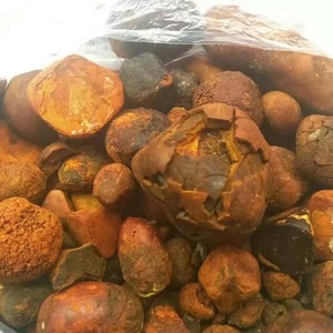 Polvo de cálculos biliares de bovino de alta calidad, cálculos biliares de ganado solubles en agua, 3 años de vida útil, empaque a granel para venta al por mayor - Product Image 5