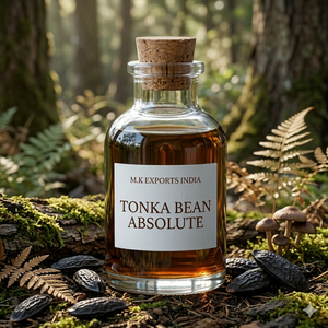 Aceite de Semilla de Tonka (Diptyrex Odorata) Puro, Extraído con Solvente, Grado Perfumería Natural, Venta al Por Mayor - Product Image 2