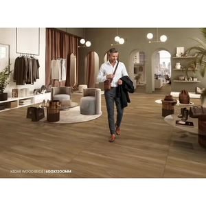 Carreaux de porcelaine polie indiens 60x120cm, effet marbre Bianco 24x48 pouces (2x4), qualité supérieure, pour revêtement de sol extérieur en brique réfractaire - Product Image 5