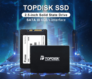 Topdisk NVMe SSD Unidad de estado sólido Disco duro interno de 120GB con puerto de expansión SATA para computadora portátil 256GB 512GB 1 TB - Product Image 2