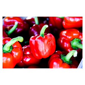 Pimiento rojo fresco para envasado minorista, marca privada, suministro a granel, calidad de exportación - Product Image 4