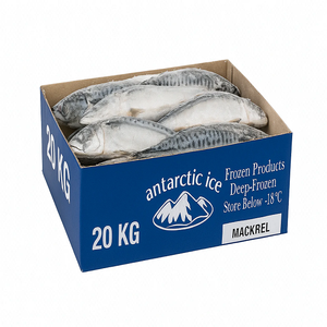 Pescado Atún Fresco Congelado del Pacífico en Caja de 10 kg, Patrón Redondo, Estilo Seco Entero, Proceso de Conservación en Agua, Cebo para Atún 300-500 W/R - Product Image 5