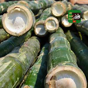 Fabricant vietnamien de tam vong en bambou à bas prix pour des accents de mobilier sophistiqués, des articles artisanaux en fibres naturelles tendance. - Product Image 6