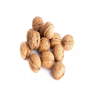Nueces Orgánicas al por Mayor, Precio Económico, Calidad Premium, Nueces Secas con Procesamiento Dutched - Product Image 1