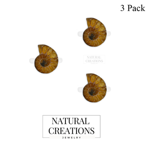 แหวนเงินแท้ 925 คุณภาพสูง ดีไซน์คลาสสิก ทรงวงแหวนแบบ Bezel Setting ประดับด้วยหิน Ammonite รูปทรงหยาบธรรมชาติ เหมาะสำหรับผู้ชายและผู้หญิง สวมใส่ได้ในโอกาสต่างๆ - Product Image 1
