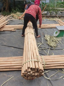 Poste de Bambú Natural Resistente de 4-10 m de Longitud y 3-10 cm de Diámetro para Construcción, Jardinería, Soporte de Plantas, Cercas y Decoración - Product Image 2