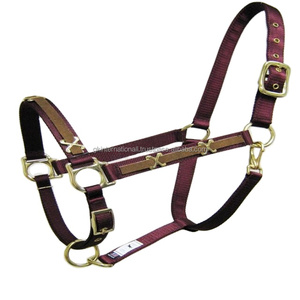 Custom Design Decorative Conchos Nylon Webbing Vibrant Colors Nylon Horse <b>Halter</b> with Heavy Duty Adjustable Brass Hardware - Product Image 1