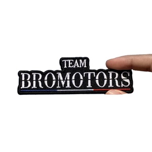Patch brodé thermocollant Go Birds, texte vert et blanc, forme irrégulière, badge en tissu pour accessoires vestimentaires - Product Image 2