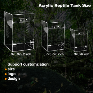 Enclos à insectes avec logo et dimensions personnalisables, design empilable et ventilation optimisée pour les magasins commerciaux de reptiles et d'insectes (tarantules) - Product Image 4
