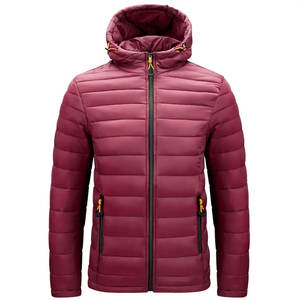 Veste matelassée coupe-vent pour homme 2023, col montant, manteau d'hiver chaud et confortable avec capuche, nouvelle mode - Product Image 1