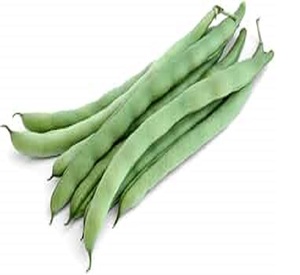 High Quality Green <b>Beans</b> with free delivery - Product Image 4